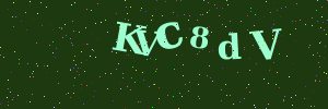 Validation image
