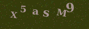 Validation image