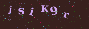 Validation image