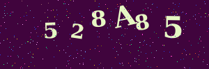 Validation image