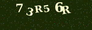 Validation image