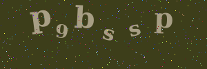 Validation image