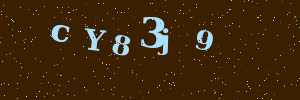 Validation image