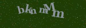 Validation image