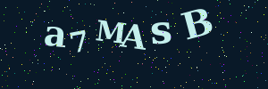 Validation image