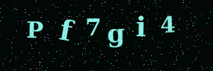 Validation image