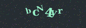 Validation image