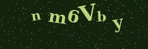 Validation image