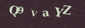 Validation image