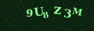 Validation image