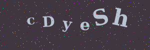 Validation image
