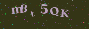Validation image