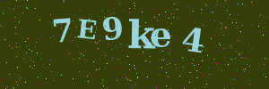 Validation image