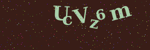 Validation image