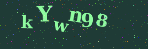 Validation image