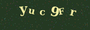 Validation image