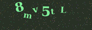 Validation image
