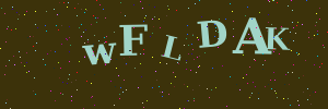 Validation image