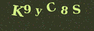 Validation image