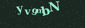 Validation image