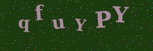 Validation image
