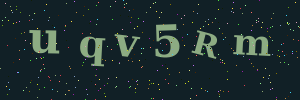 Validation image