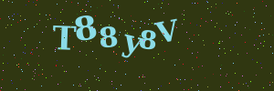 Validation image