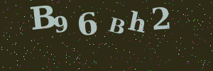 Validation image