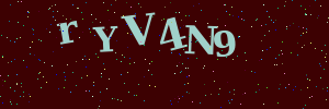 Validation image