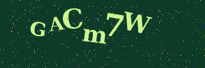 Validation image