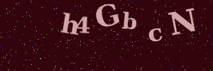Validation image