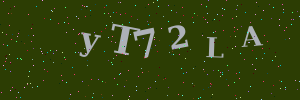 Validation image