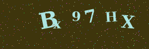Validation image