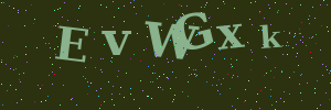 Validation image