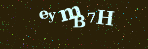 Validation image