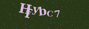 Validation image