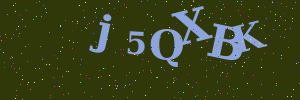 Validation image
