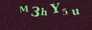 Validation image