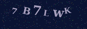 Validation image