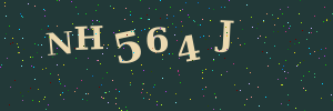 Validation image