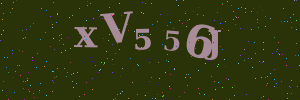 Validation image