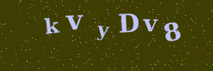 Validation image