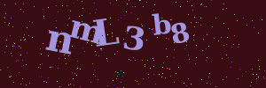 Validation image