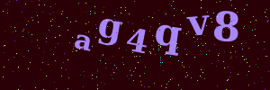 Validation image