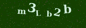 Validation image