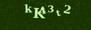 Validation image