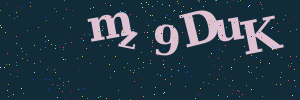 Validation image