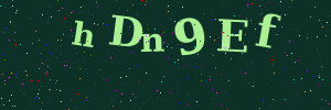 Validation image