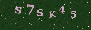 Validation image