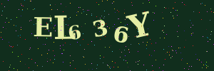 Validation image